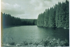 hzgrn010