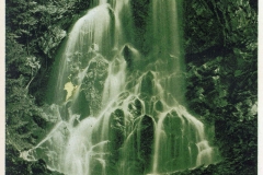 hzgrn012