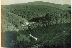 hzgrn013