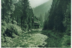 hzgrn014