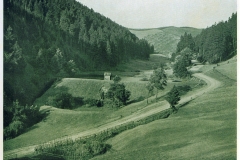 hzgrn015