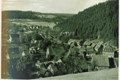 hzgrn016
