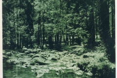hzgrn018