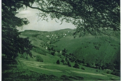hzgrn019