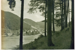 hzgrn020