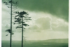 hzgrn021