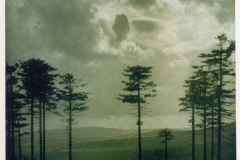 hzgrn022
