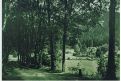 hzgrn023