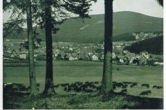 hzgrn025