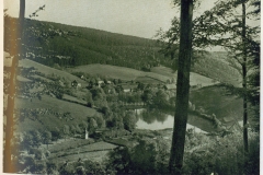 hzgrn026