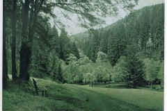 hzgrn027