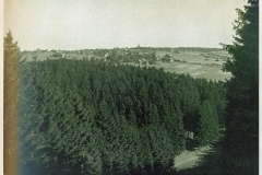 hzgrn028