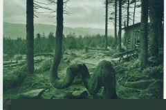 hzgrn029