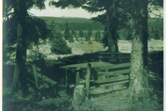 hzgrn030