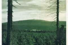 hzgrn031