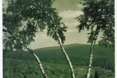hzgrn032