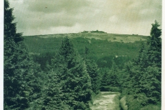 hzgrn035