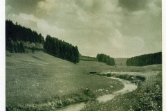 hzgrn036