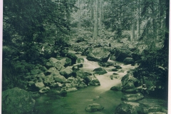 hzgrn039