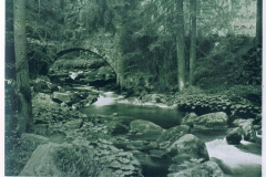 hzgrn040