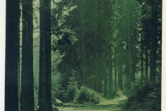 hzgrn041