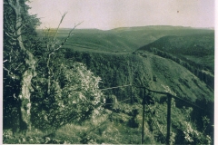 hzgrn043