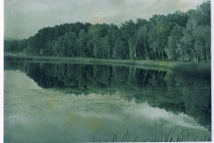 hzgrn044