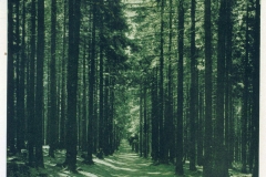 hzgrn045