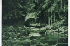 hzgrn046