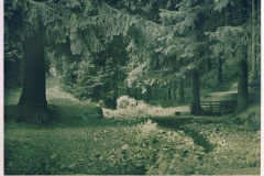 hzgrn047