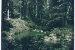 hzgrn048