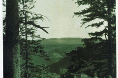 hzgrn050