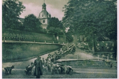 hzgrn052