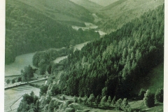 hzgrn053