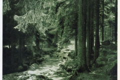 hzgrn054