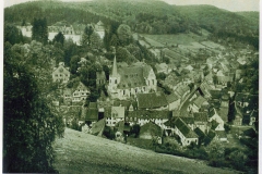 hzgrn056