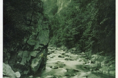 hzgrn058