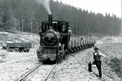 histimg028