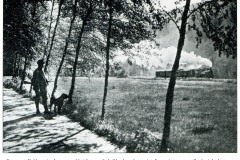 histimg041