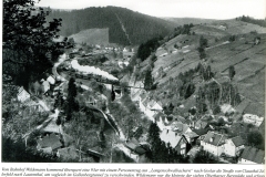 histimg049