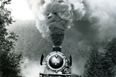 histimg179