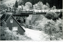 histimg184