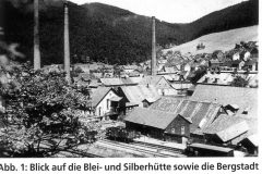 histimg023
