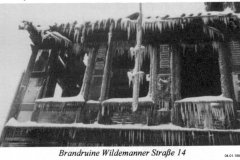 histimg026