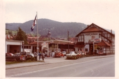 histimg088
