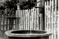 histimg099