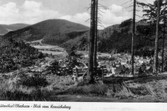 histimg150