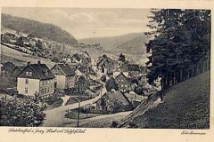 histimg241