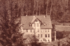 histimg263