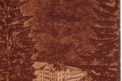 histimg268